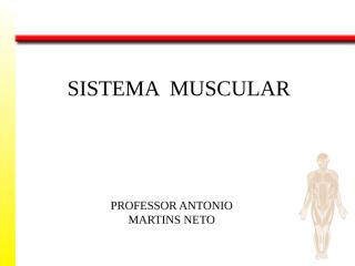 Sistema Muscular - 2010.2.ppt