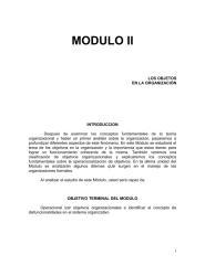 teoria de la organizacion modulo ii 602.pdf