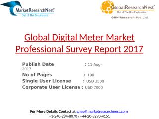 Global Digital Meter Market Professional Survey Report 2017.pptx