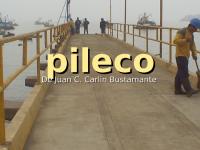 pileco powerpoint.ppt