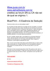 bluer_print.pdf