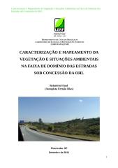 Relatório Final (Fernão Dias).doc