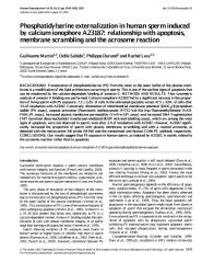 2005- phosphatidylserine externalization in human sperm induced.pdf